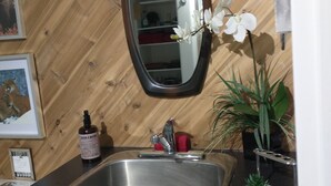 A kitchen with a wooden wall, a stainless steel sink, a mirror, and a potted orchid. - 2 PERSON - 1 BEDROOM PRIVATE RENTAL ABOVE GOLDSTREAM PROVINCIAL PARK (Victoria)