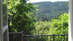 A view from a balcony with a metal railing, overlooking a forested hillside. - 2 PERSON - 1 BEDROOM PRIVATE RENTAL ABOVE GOLDSTREAM PROVINCIAL PARK (Victoria)