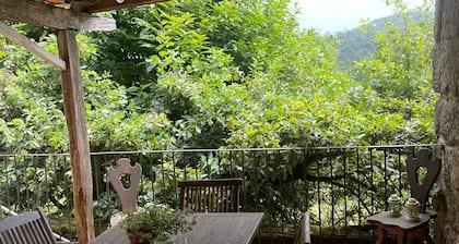 Tranquility and privacy in Rías Baixas Surrounded by trees in a Galician village