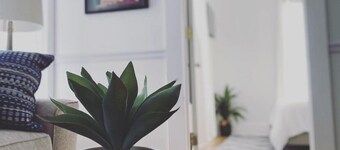 2 BR Modern Cozy Upstate Getaway