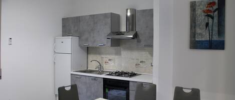 Fridge, oven, stovetop, cookware/dishes/utensils