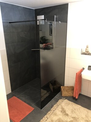 Regadera, secadora de cabello, toallas, papel de baño 