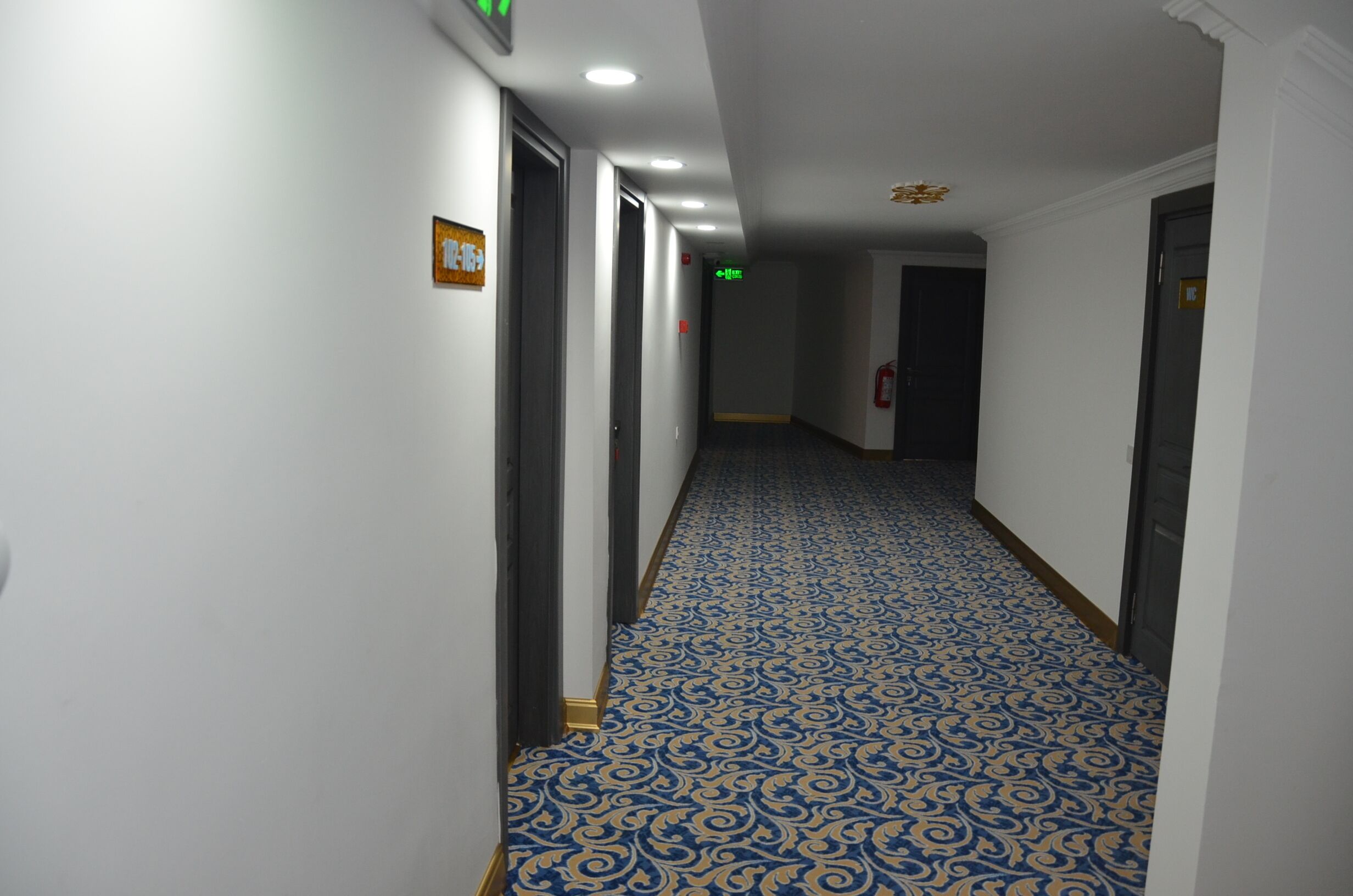 A hallway with patterned carpet, white walls, and doors leading to rooms.