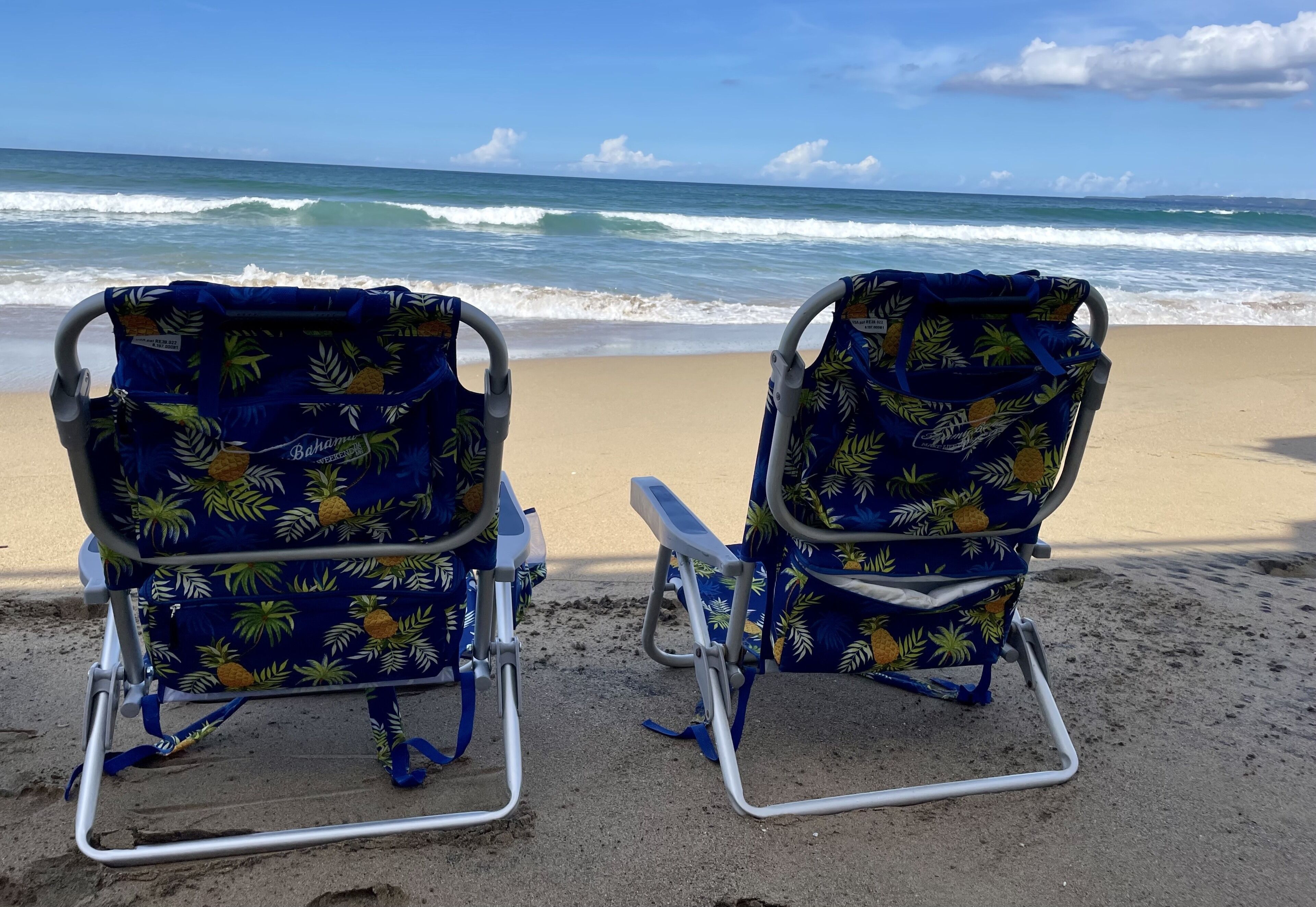 Deux chaises de plage ornées d’un motif de feuilles tropicales, sur une plage de sable, avec l’océan et ses vagues en arrière-plan.