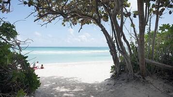 Un sentier bordant la plage qui mène à une étendue de sable fin, bordée d’une eau turquoise et cristalline.