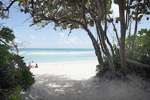 På stranden och vit sandstrand