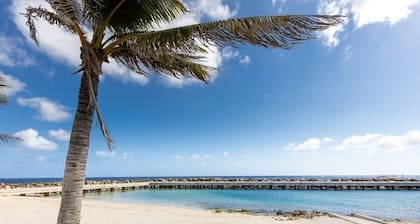 Artistic Townhouse at Wilhelmina Square Willemstad