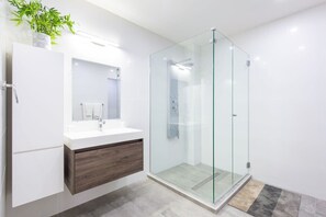 Shower, hair dryer, towels