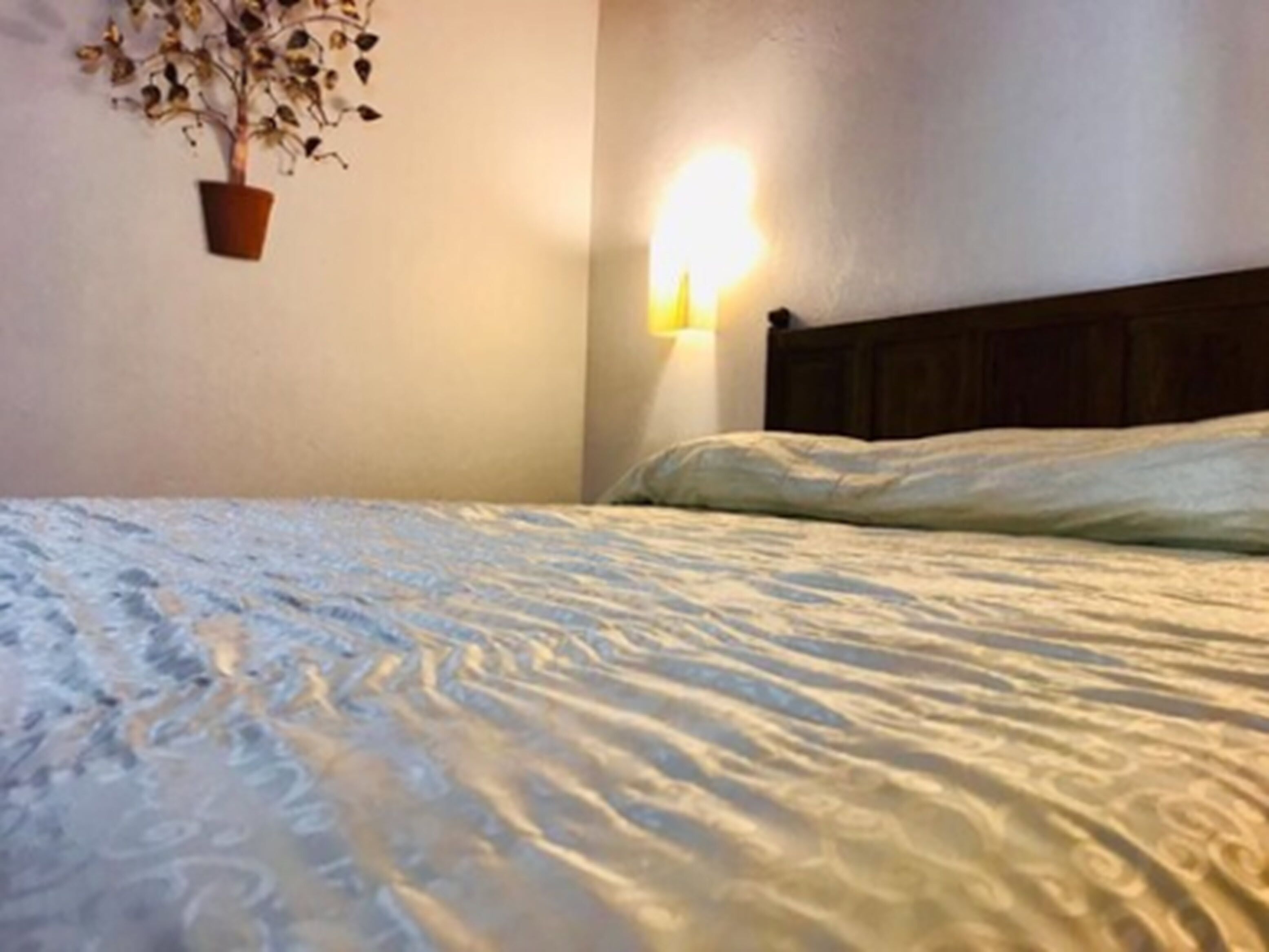 Een bed met een bedovertrek met dessin, een wandlamp en een potplant.