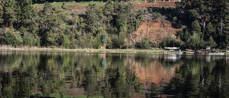 Una hilera de cabañas modernas con ventanas amplias, frente a un paisaje de árboles y un lago.