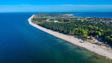 ビーチの近く、サンラウンジャー
