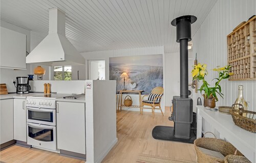 4 bedroom gorgeous home in Blokhus