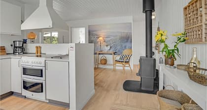 4 bedroom gorgeous home in Blokhus