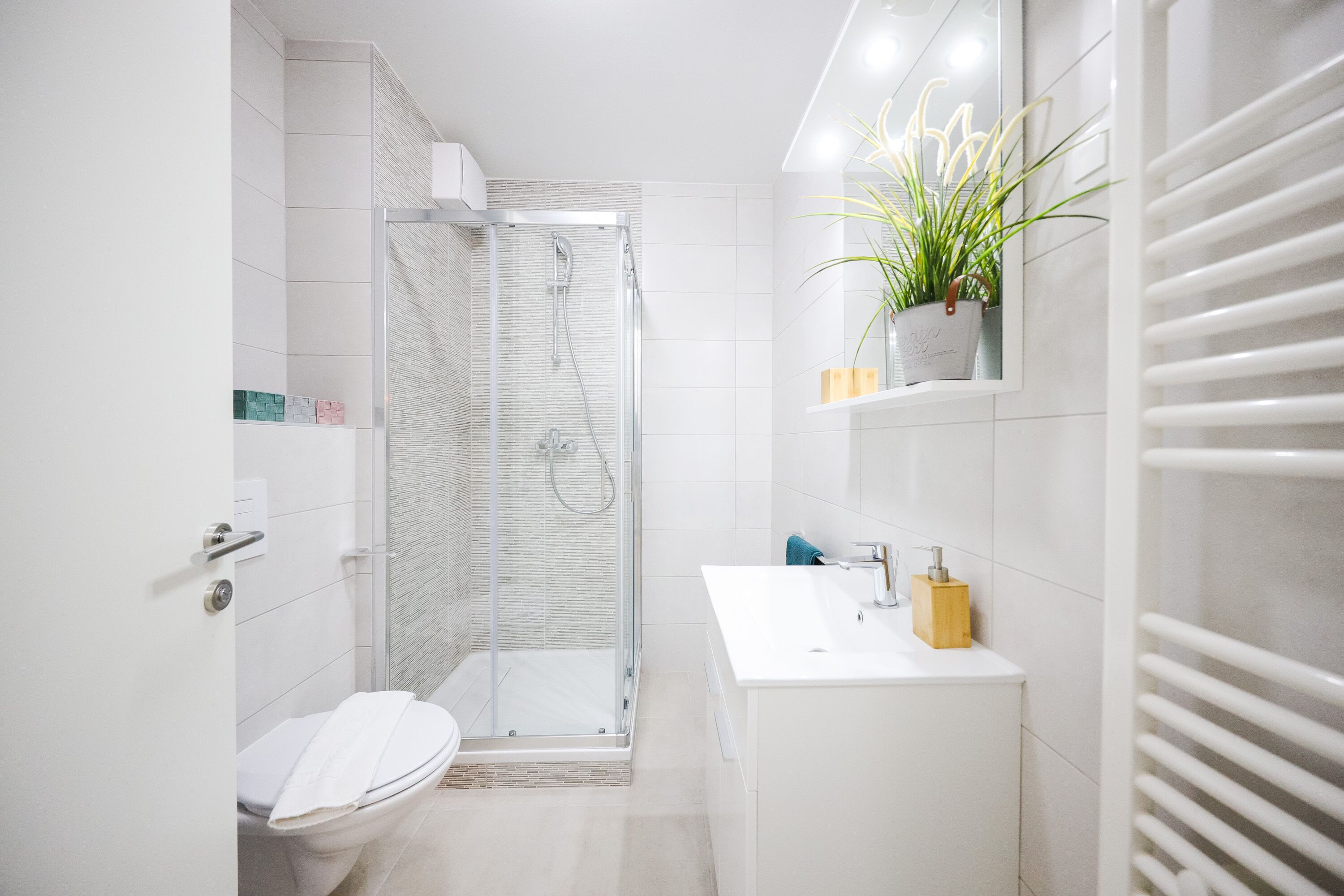 Shower, free toiletries, hair dryer