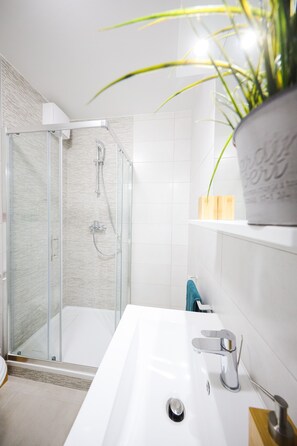 Douche, articles de toilette (gratuits), séchoir à cheveux