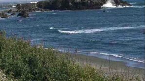 A coastal scene with a small island featuring a building with a red roof and a tree. - Ocean Front Home with private beach access.   (Crescent City)