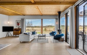 Smart-TV, Kamin