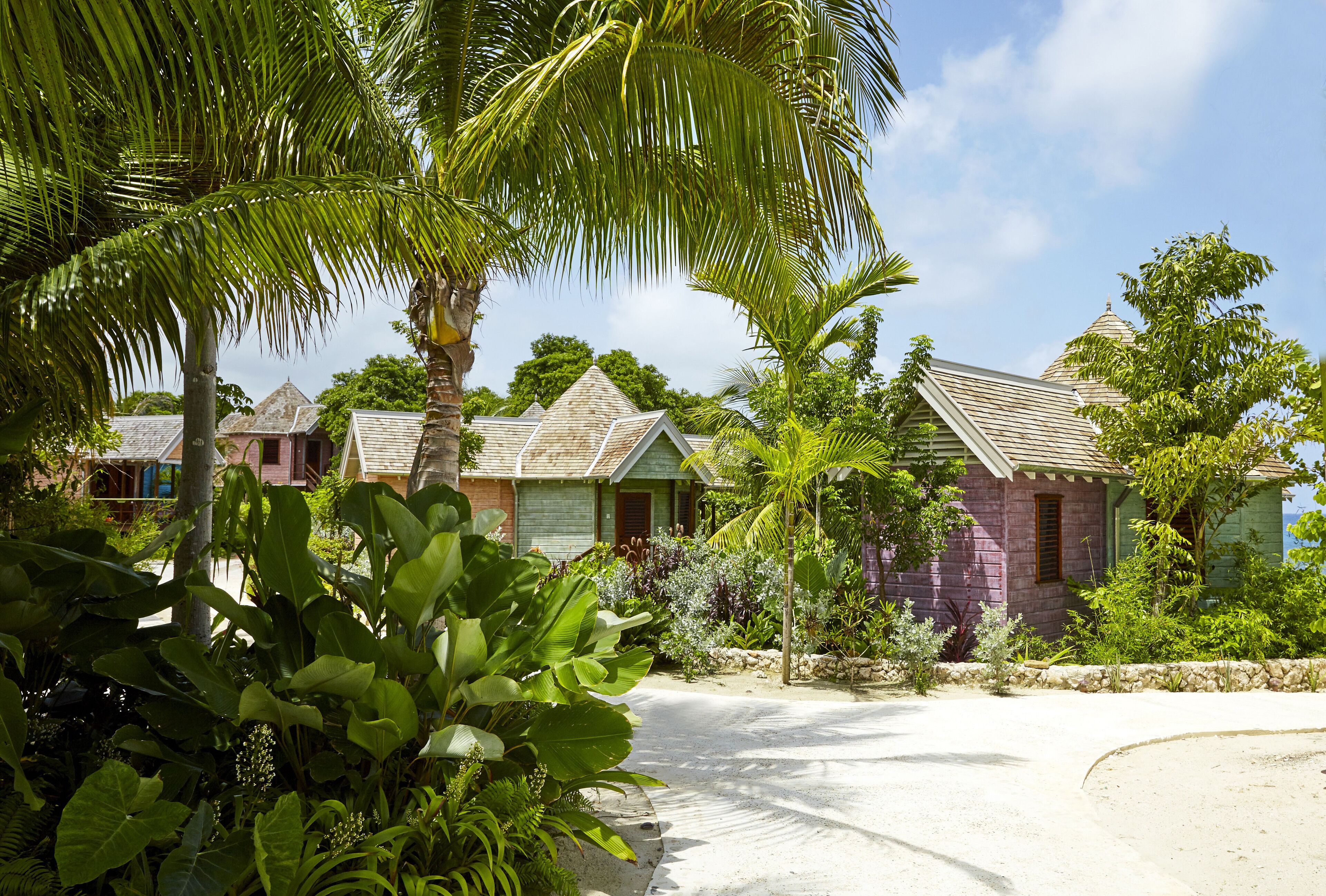 Un resort tropical con varias construcciones tipo bungalow rodeado de exuberante vegetación y palmeras.