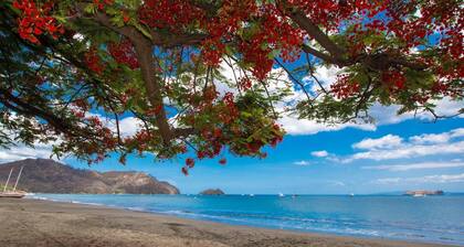 Ground-floor unit with terrace with direct access to pool in Coco