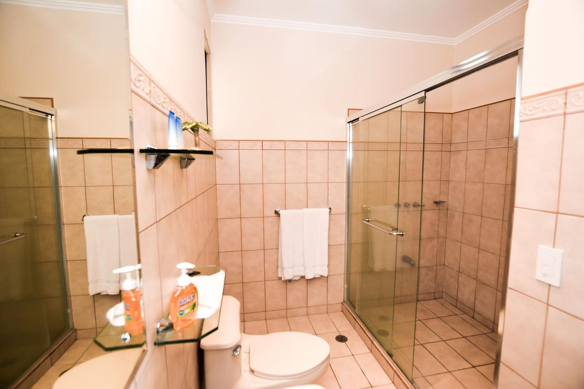 Un baño con ducha envuelta en vidrio, inodoro y lavamanos con espejo.