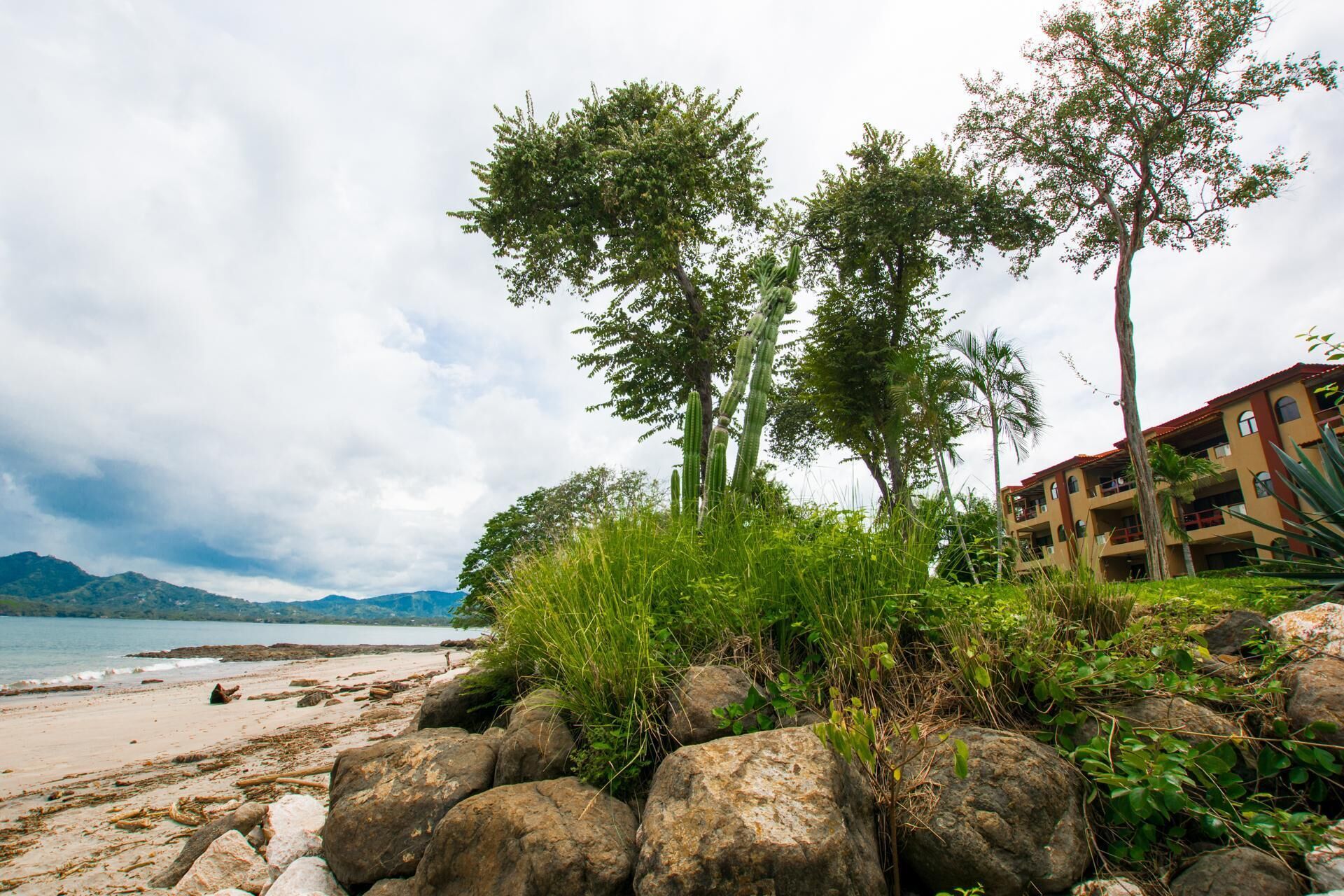 Una playa con terreno rocoso, palmeras y un edificio con balcones con vista al mar.