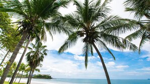 Une plage bordée de palmiers, avec vue sur l’océan.