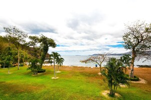 Un espacio verde con árboles y vista al mar.