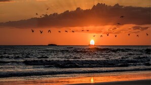 A sunset over the ocean with birds flying in the sky. - Stunning Hillside Villa with Panoramic Ocean Views & Infinity Pool (Tempate)