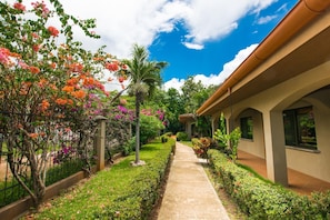 Property grounds - Charming unit that sleeps 4 - with pool - walking distance from Brasilito Beach (Cabo Velas)