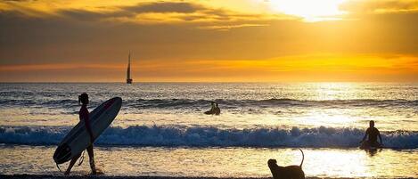 Escena de playa con un atardecer, un velero y gente con un perro en la orilla.