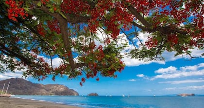 Tropical Condo with Spectacular Ocean Views, Panoramic Dining Terrace & Quick Walk to Beach