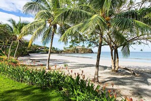 Beach - Luxurious Beachfront Mansion with a Stunning Infinity Pool in Playa Flamingo (Cabo Velas)