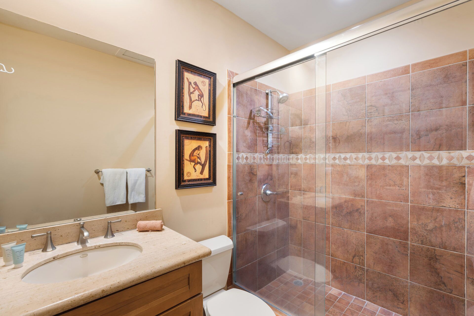 A bathroom with a sink, toilet, and shower. There are framed pictures on the wall.