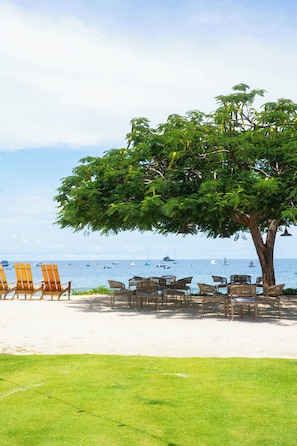 A beachside setting with a large tree, several wooden chairs, and a view of the sea with boats. - Modern One-Bedroom Condo with Pool Views, Beach Club Access & Resort Amenities (Sardinal)