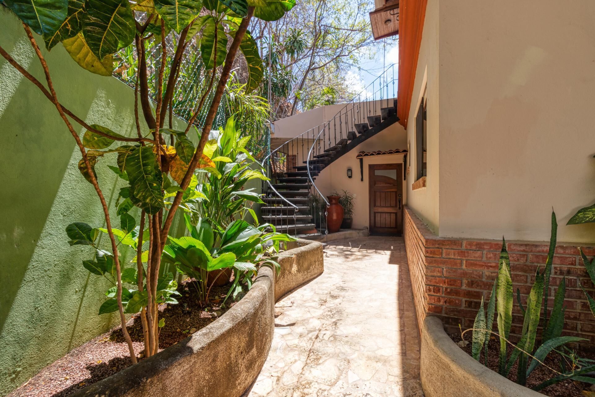 Une cour étroite bordée d’un mur de briques, un bac en béton orné de plantes vertes, un escalier menant à une porte en bois et un mur végétal couvert de plantes grimpantes.