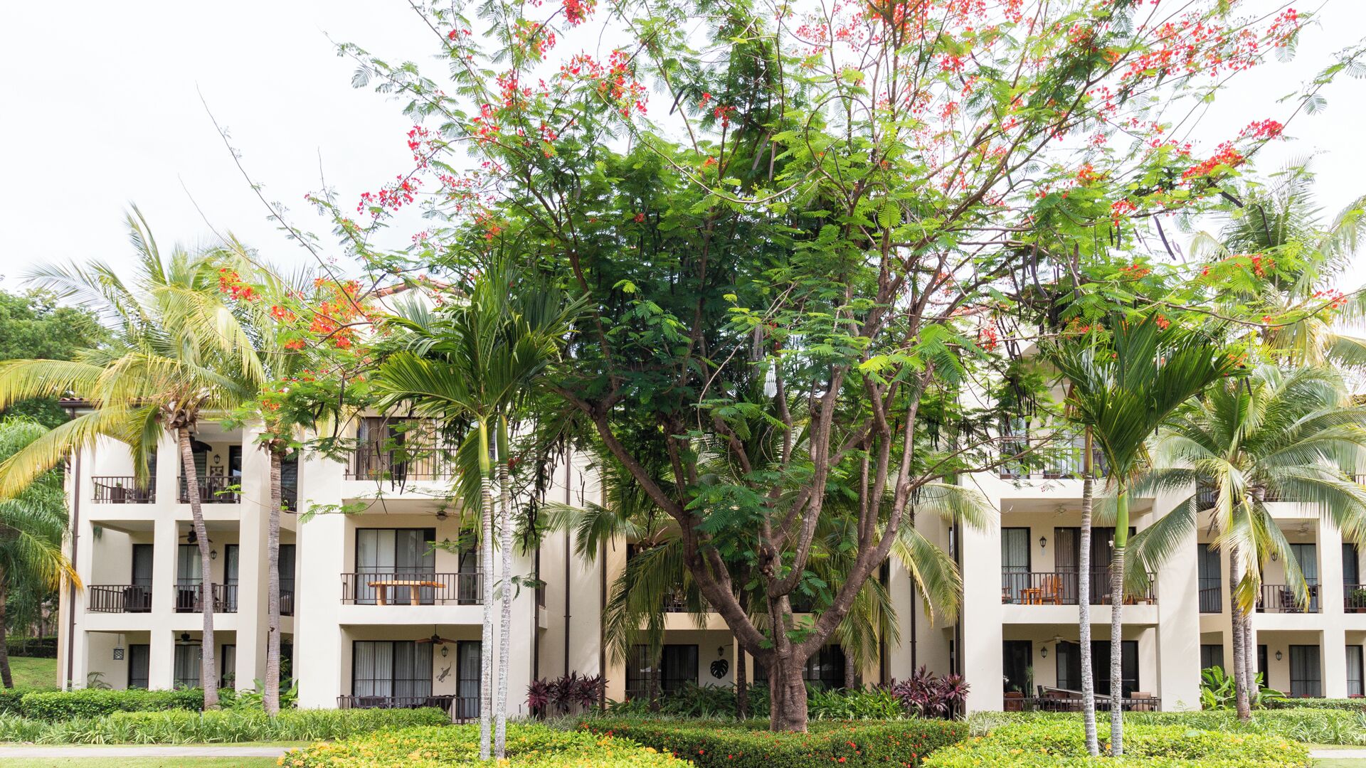 A multi-story hotel with balconies, surrounded by lush greenery and flowering trees.