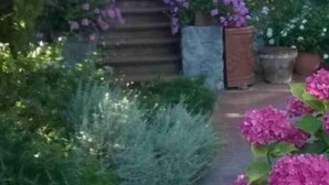 A garden pathway leading to a staircase surrounded by lush greenery and flowering plants. - Villa with swimming pool and views of the Argentario. WiFi free (Ansedonia)