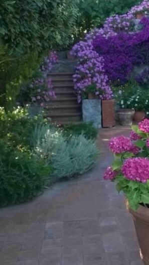 Parco della struttura