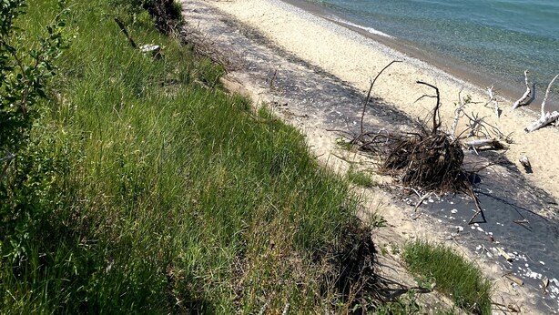 En strand med klart vatten, en sandstrand och lite grönska.