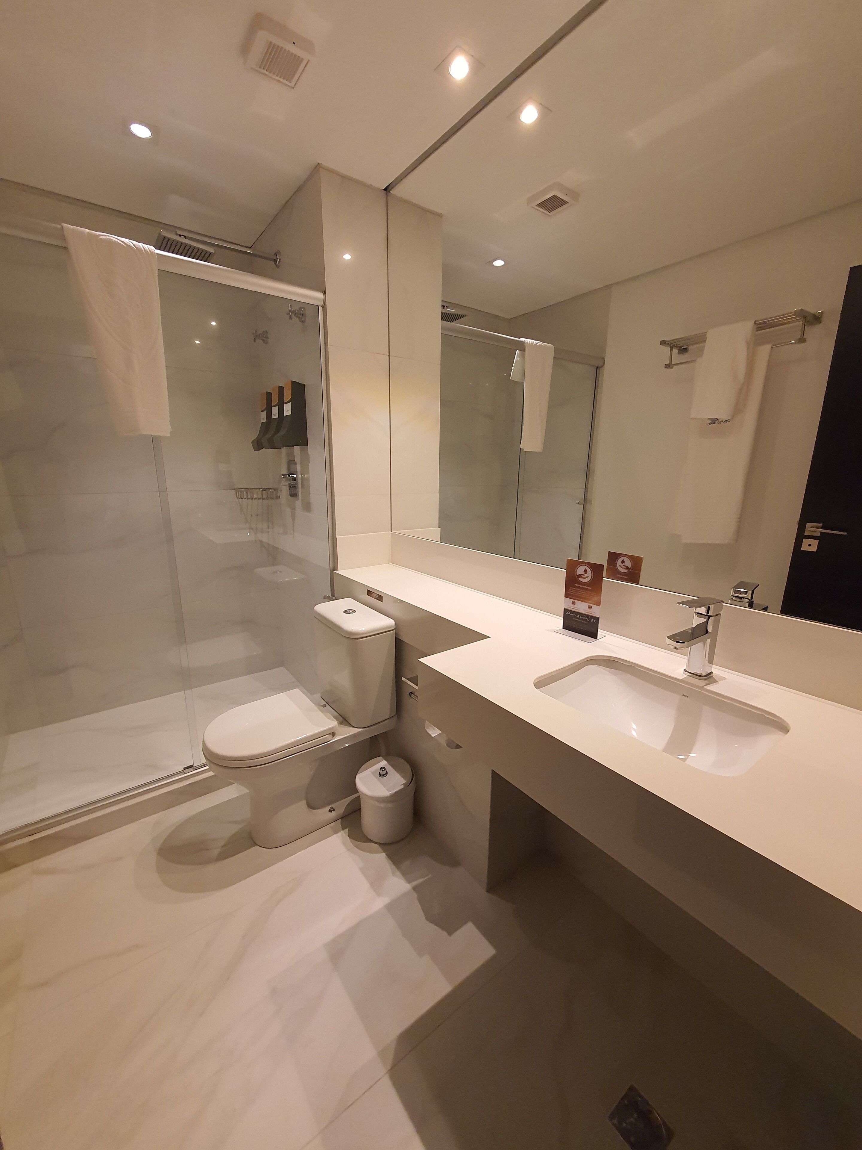 A modern bathroom with a glass-enclosed shower, a toilet, and a sink.