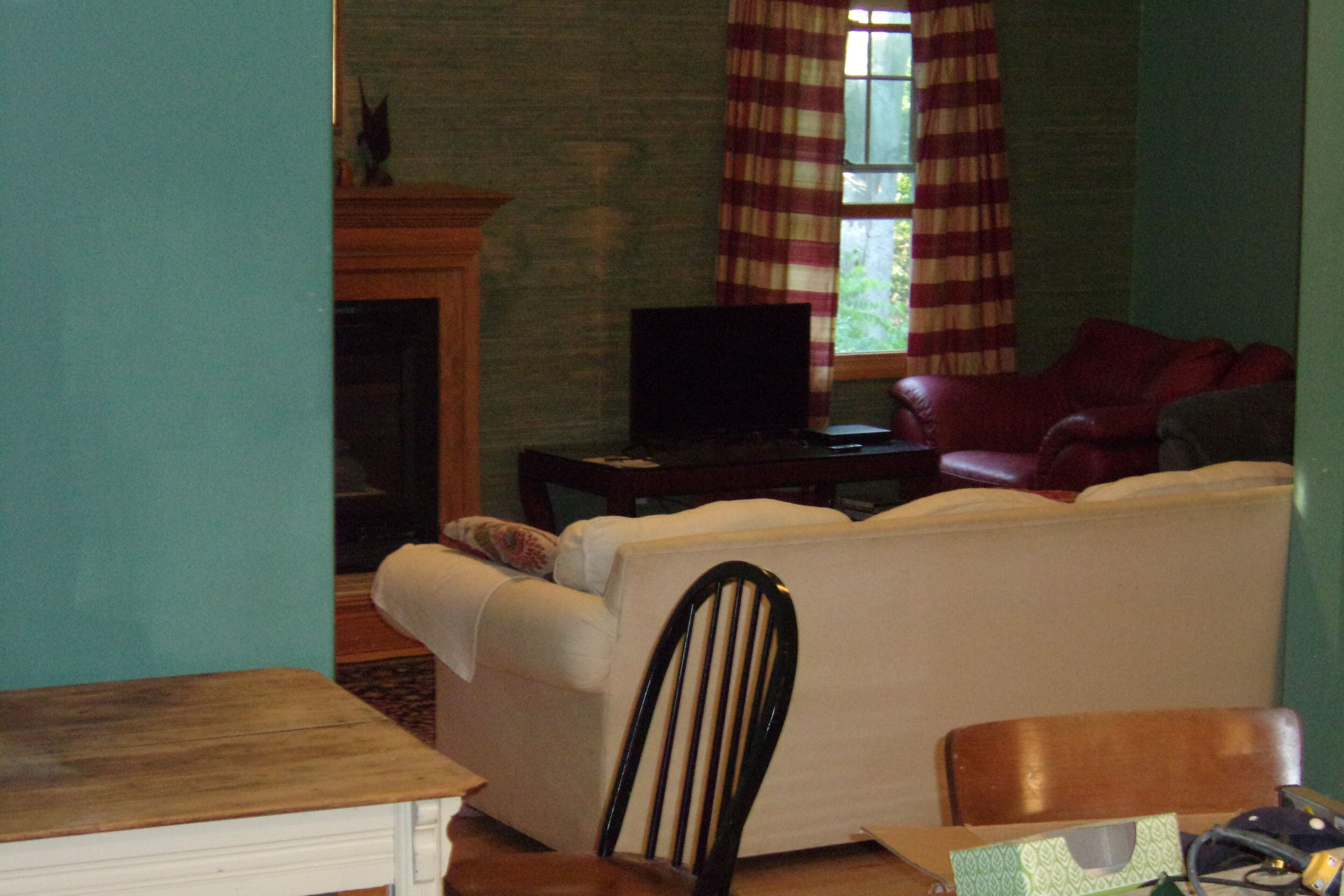 Televisión, chimenea, reproductor de DVD y libros 