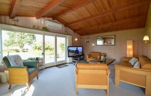 تلفزيون، مدفأة