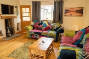 TV, fireplace, DVD player