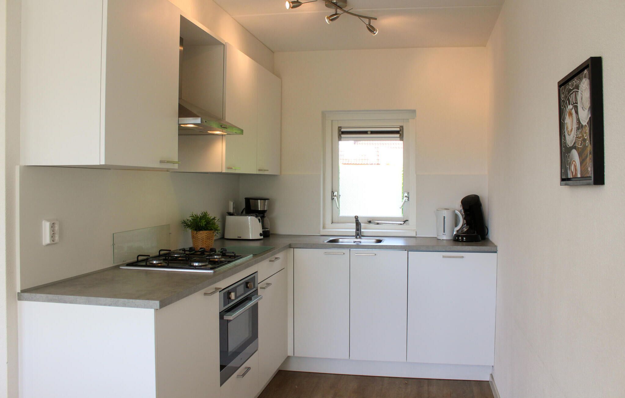 Fridge, stovetop, dishwasher, coffee/tea maker