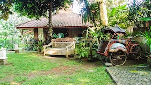 Vườn