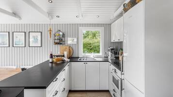 Fridge, stovetop, dishwasher, coffee/tea maker