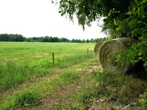 Imagen sin descripción, 2 de 25, botón