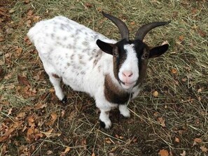 Imagen sin descripción, 5 de 25, botón