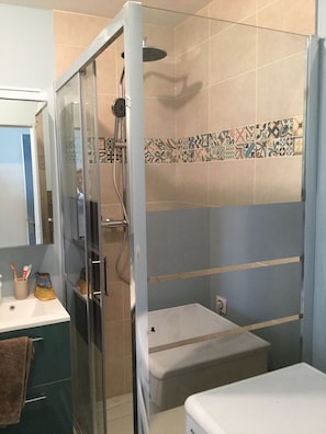 Shower, hair dryer, soap, toilet paper