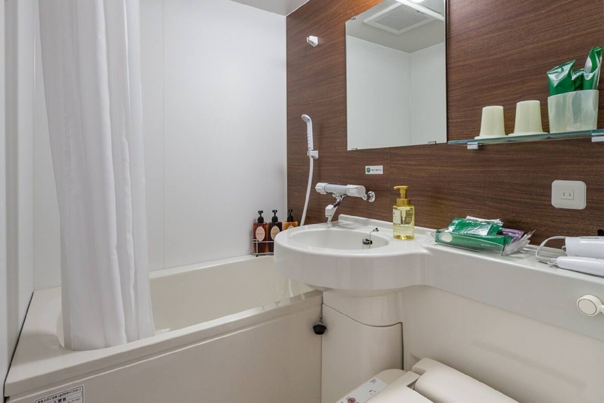 combined shower/bathtub, free toiletries, hair dryer, slippers